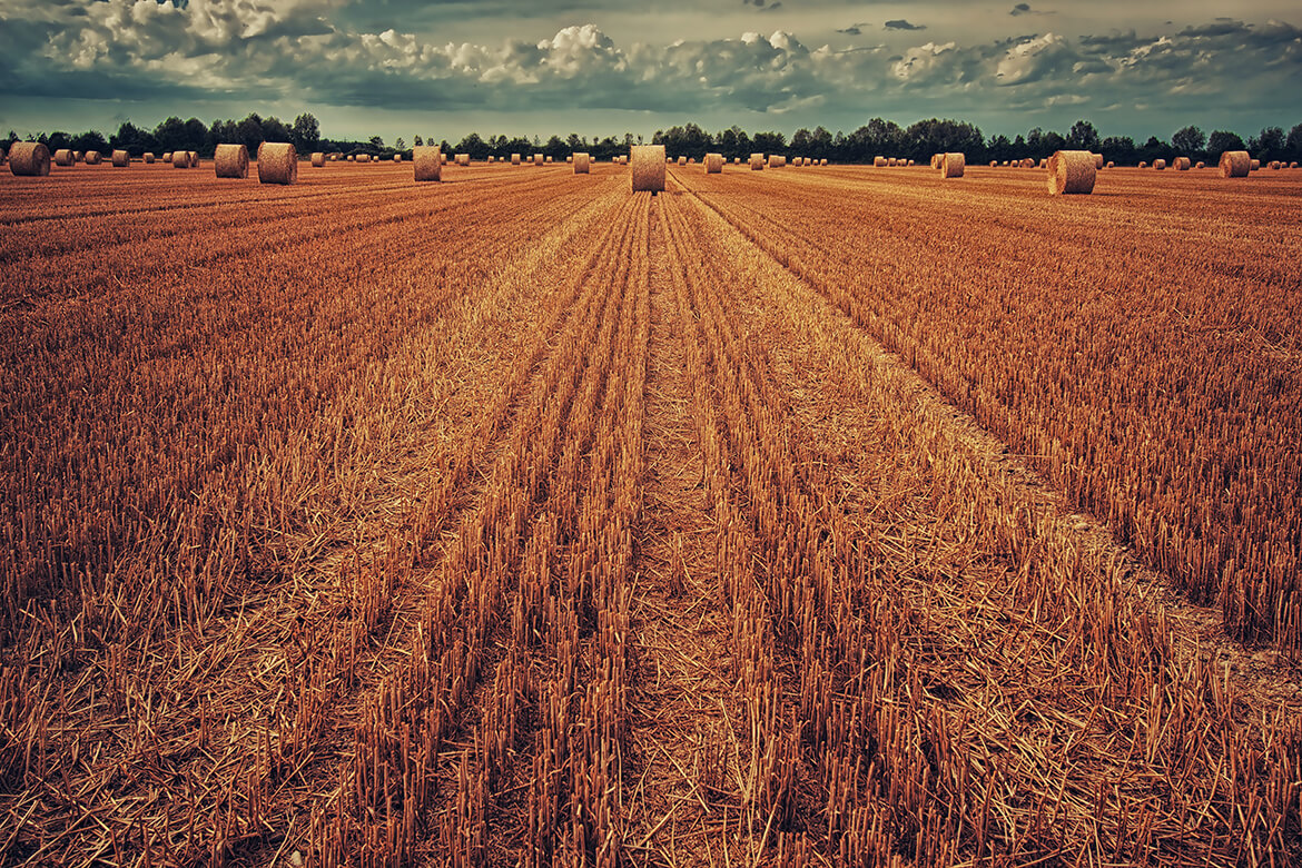 Agriculture services in Coalville, Ashby de la Zouch, Leicestershire, Midlands